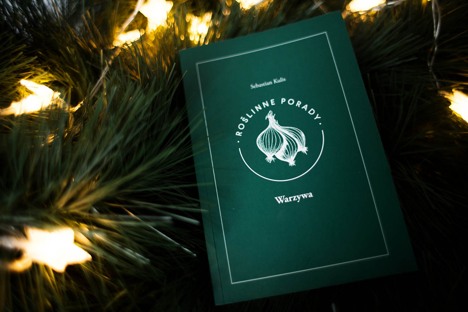 Książka Roślinne Porady | co kupić na prezent świąteczny?